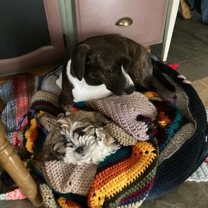 Meet your Posher, Cora